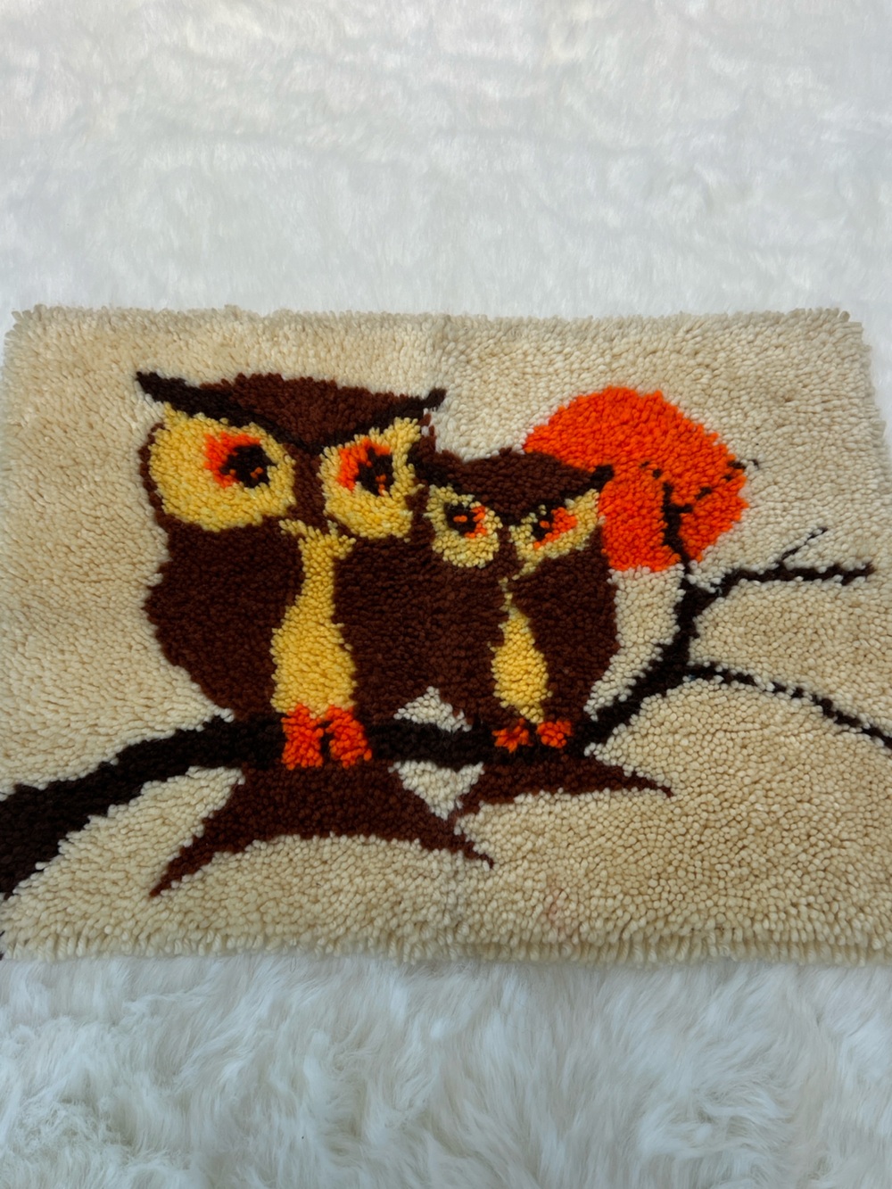 vintage 1970s handmade latch-hook wall hanging shag Rug Owls Mid century